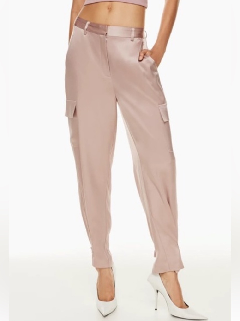 NWT Babaton refined cargo satin aritzia pants